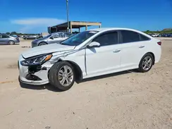 5NPE34AF3KH814561 2019 HYUNDAI SONATA
