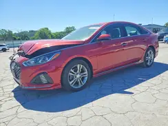 5NPE34AF3KH815807 2019 HYUNDAI SONATA