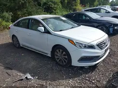 5NPE34AF4GH287539 2016 HYUNDAI SONATA