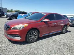 5NPE34AF4GH319003 2016 HYUNDAI SONATA