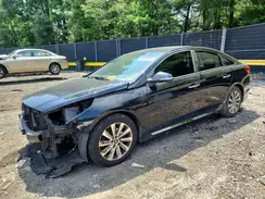 5NPE34AF4GH335363 2016 HYUNDAI SONATA
