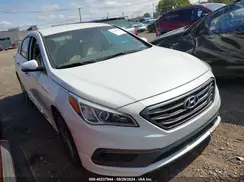 5NPE34AF4GH351949 2016 HYUNDAI SONATA