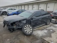 5NPE34AF4GH352955 2016 HYUNDAI SONATA