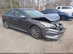 5NPE34AF4GH429081 2016 HYUNDAI SONATA