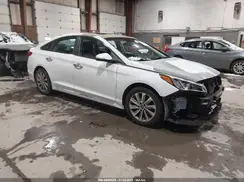 5NPE34AF4HH446416 2017 HYUNDAI SONATA