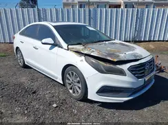 5NPE34AF4HH453933 2017 HYUNDAI SONATA