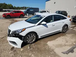 5NPE34AF4HH497723 2017 HYUNDAI SONATA