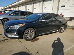 5NPE34AF4HH509241 2017 HYUNDAI SONATA