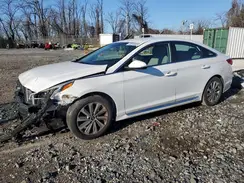 5NPE34AF4HH524502 2017 HYUNDAI SONATA