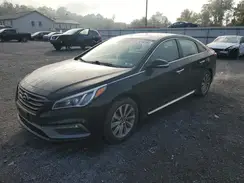 5NPE34AF4HH526685 2017 HYUNDAI SONATA