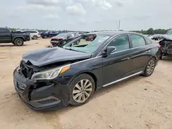 5NPE34AF4HH528582 2017 HYUNDAI SONATA