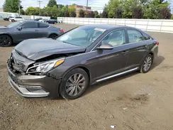 5NPE34AF4HH551926 2017 HYUNDAI SONATA