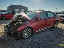 5NPE34AF4HH561839 2017 HYUNDAI SONATA