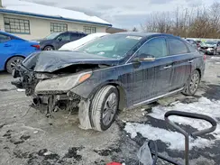 5NPE34AF4HH587339 2017 HYUNDAI SONATA