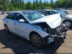 5NPE34AF4HH593478 2017 HYUNDAI SONATA