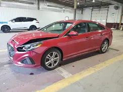 5NPE34AF4KH729566 2019 HYUNDAI SONATA