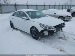 5NPE34AF4KH730264 2019 HYUNDAI SONATA