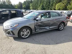 5NPE34AF4KH744097 2019 HYUNDAI SONATA