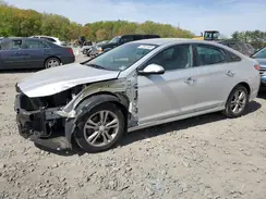 5NPE34AF4KH756850 2019 HYUNDAI SONATA