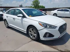 5NPE34AF4KH767735 2019 HYUNDAI SONATA