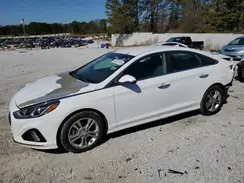 5NPE34AF4KH773602 2019 HYUNDAI SONATA