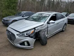 5NPE34AF4KH774507 2019 HYUNDAI SONATA