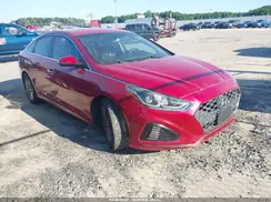 5NPE34AF4KH774975 2019 HYUNDAI SONATA