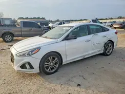 5NPE34AF4KH775723 2019 HYUNDAI SONATA