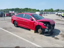 5NPE34AF4KH776614 2019 HYUNDAI SONATA