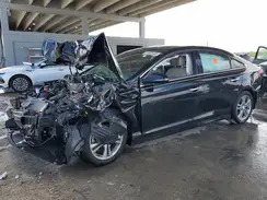 5NPE34AF4KH776631 2019 HYUNDAI SONATA