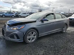 5NPE34AF4KH781053 2019 HYUNDAI SONATA