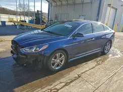 5NPE34AF4KH786916 2019 HYUNDAI SONATA