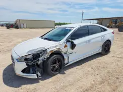 5NPE34AF4KH793963 2019 HYUNDAI SONATA