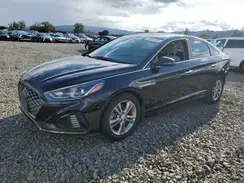 5NPE34AF4KH807232 2019 HYUNDAI SONATA
