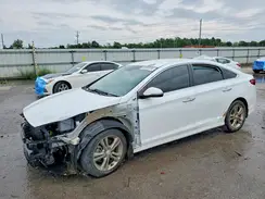 5NPE34AF4KH807800 2019 HYUNDAI SONATA