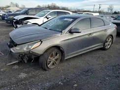 5NPE34AF4KH812494 2019 HYUNDAI SONATA