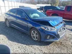 5NPE34AF4KH813807 2019 HYUNDAI SONATA