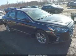 5NPE34AF4KH815881 2019 HYUNDAI SONATA