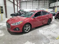 5NPE34AF4KH816335 2019 HYUNDAI SONATA