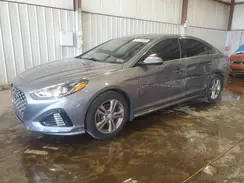 5NPE34AF4KH817596 2019 HYUNDAI SONATA
