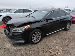 5NPE34AF5GH317762 2016 HYUNDAI SONATA
