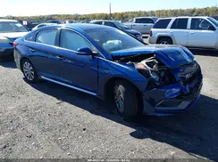 5NPE34AF5GH336196 2016 HYUNDAI SONATA