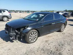 5NPE34AF5HH436770 2017 HYUNDAI SONATA