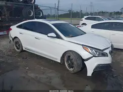 5NPE34AF5HH442889 2017 HYUNDAI SONATA