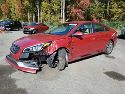 5NPE34AF5HH460809 2017 HYUNDAI SONATA