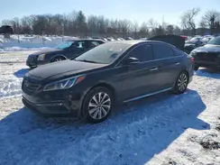 5NPE34AF5HH464925 2017 HYUNDAI SONATA