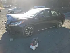5NPE34AF5HH495933 2017 HYUNDAI SONATA