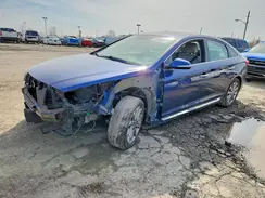 5NPE34AF5HH507496 2017 HYUNDAI SONATA