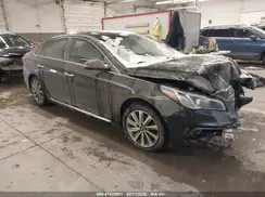 5NPE34AF5HH509992 2017 HYUNDAI SONATA
