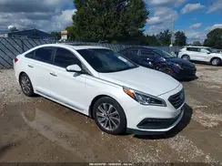 5NPE34AF5HH554043 2017 HYUNDAI SONATA